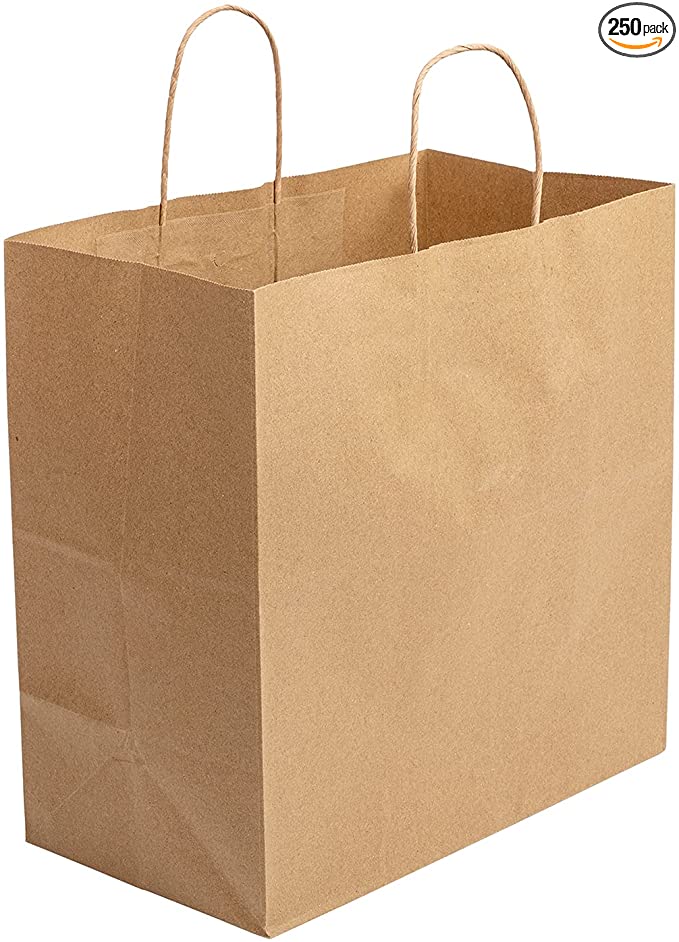 10202-BAG PAPER WITH HANDLE